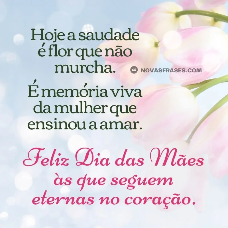 feliz dia das mães saudade