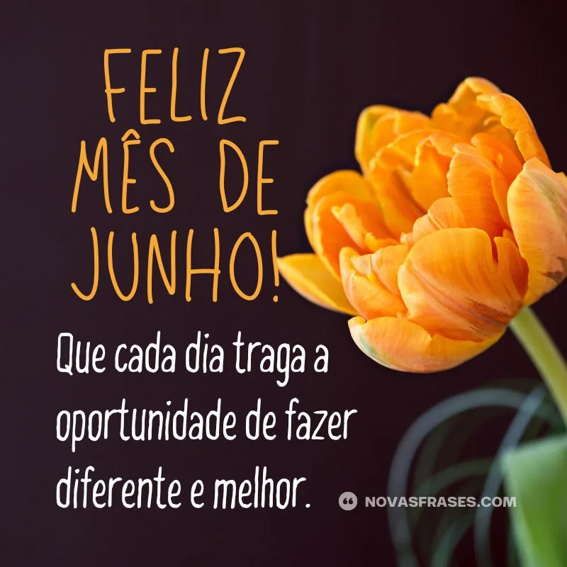 feliz mes de junho