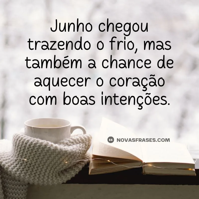 junho chegou frases