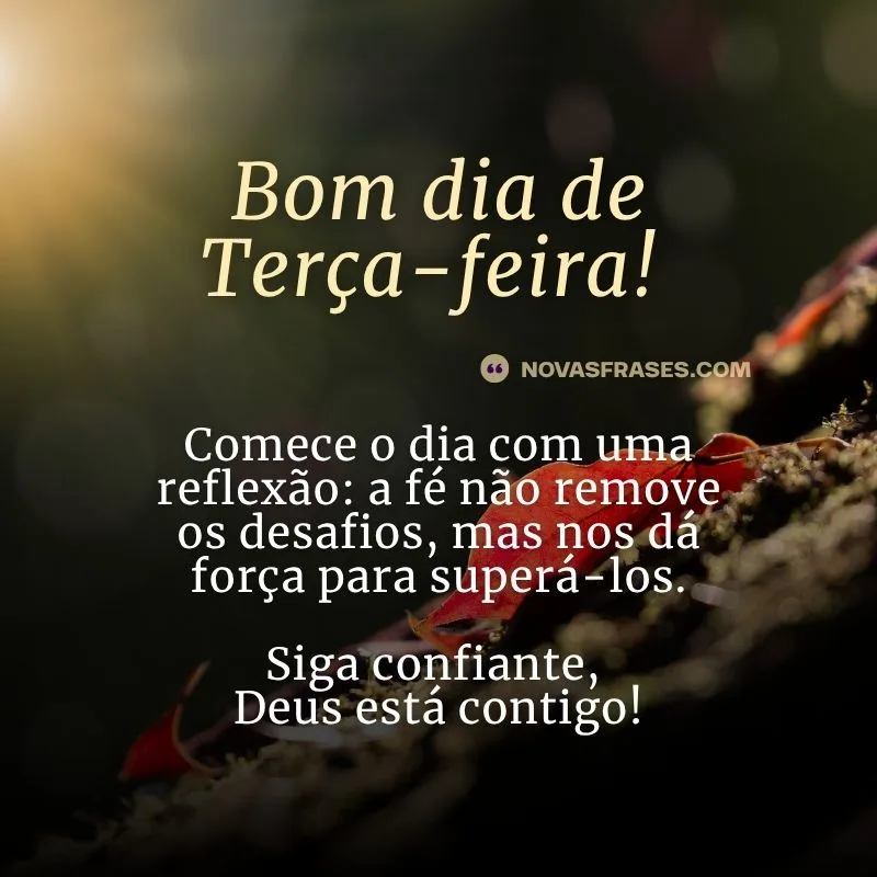 mensagem de bom dia terça-feira para whatsapp