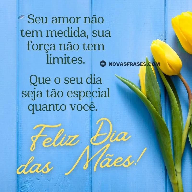 mensagem sobre o dia das mães