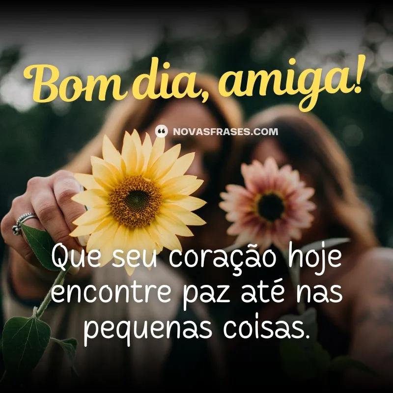 frase bom dia amiga