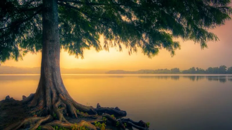 Bem-vindo, Julho: 40 frases para um mês de julho abençoado