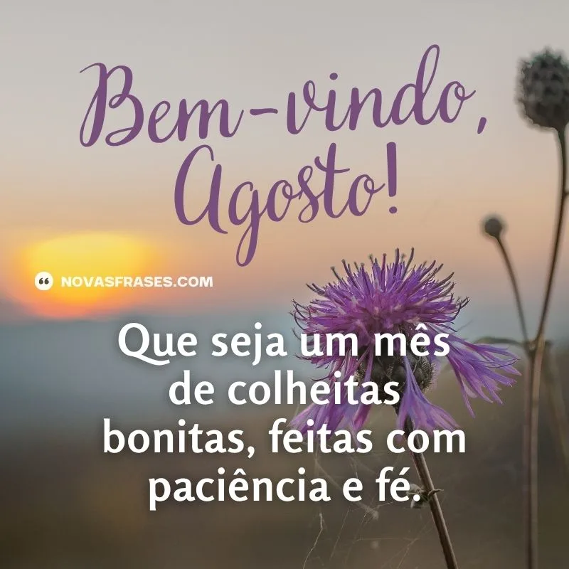 bem-vindo agosto