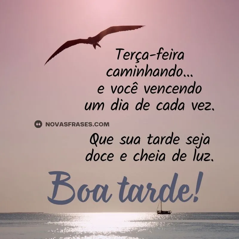 boa tarde de terça-feira