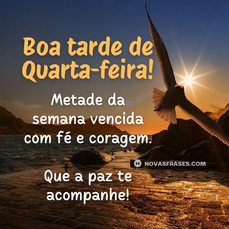 boa tarde quarta-feira