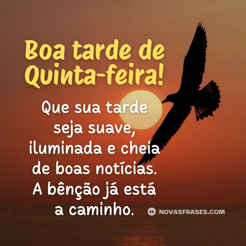 boa tarde quinta-feira