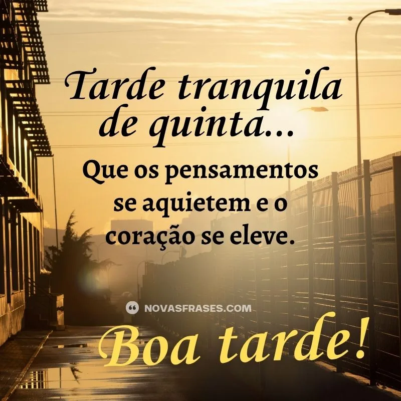 boa tarde quinta