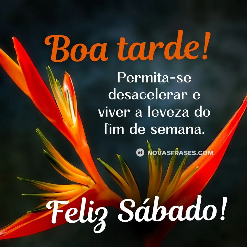 boa tarde sábado frase