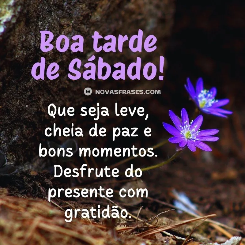 boa tarde sábado