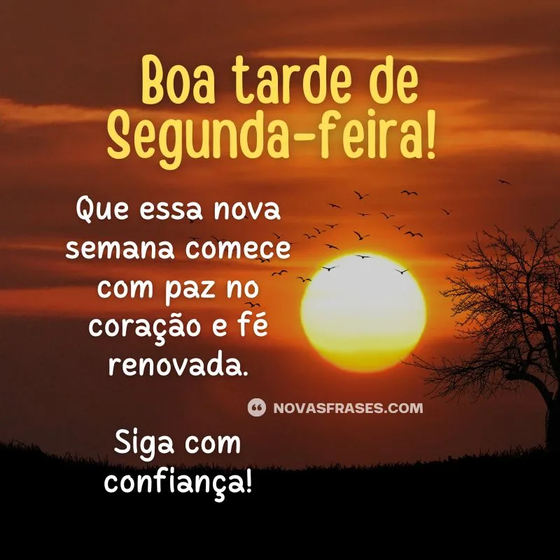 boa tarde segunda-feira boa semana