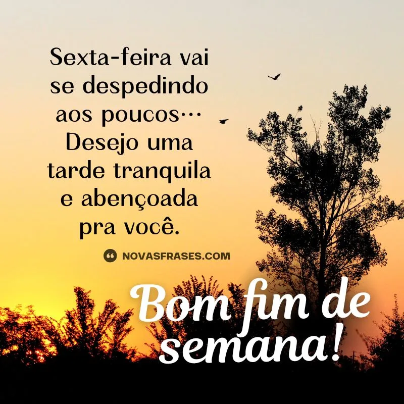 boa tarde sexta-feira bom fim de semana