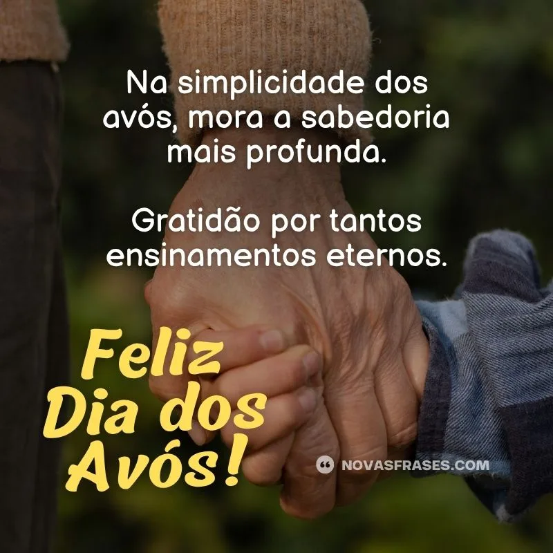 frase dia dos avós