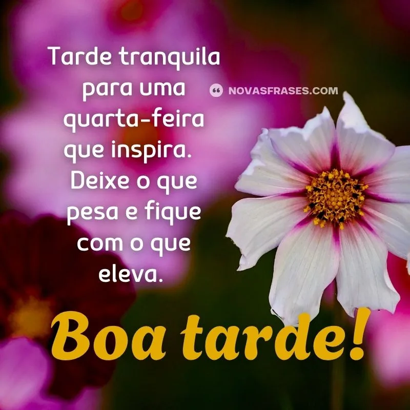 mensagem de boa tarde quarta-feira