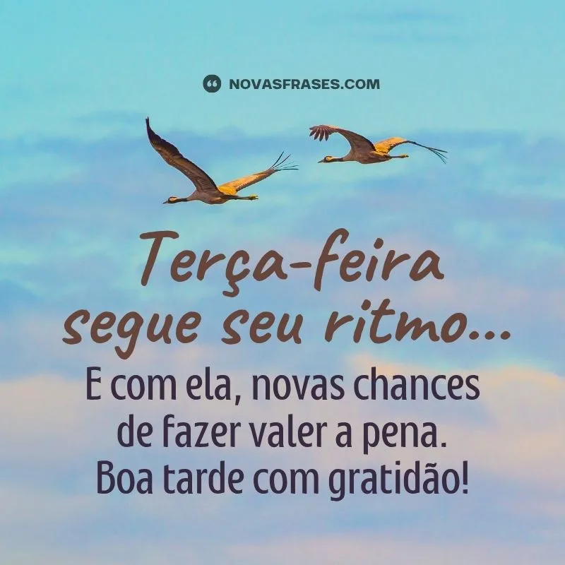 mensagem de boa tarde terça-feira