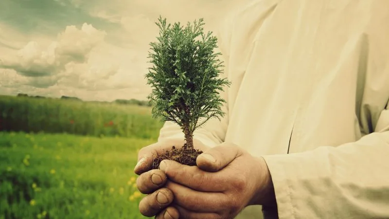 Dia do Biólogo: 25 frases para quem cuida da natureza