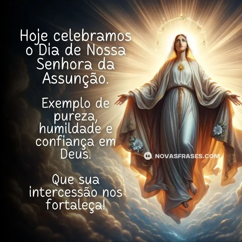 dia de nossa senhora da assunção