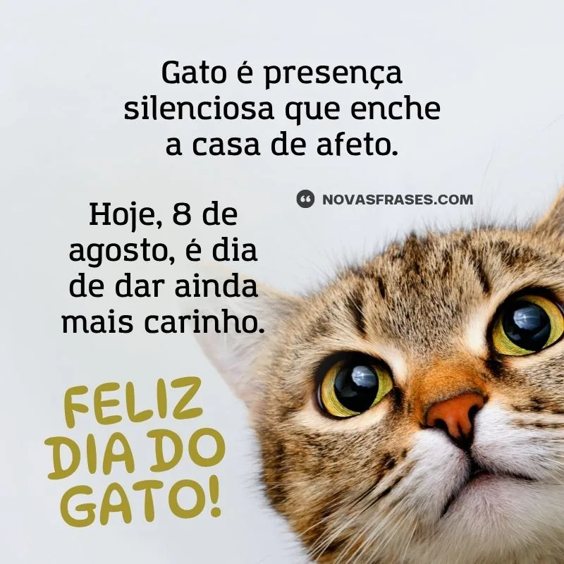 dia do gato