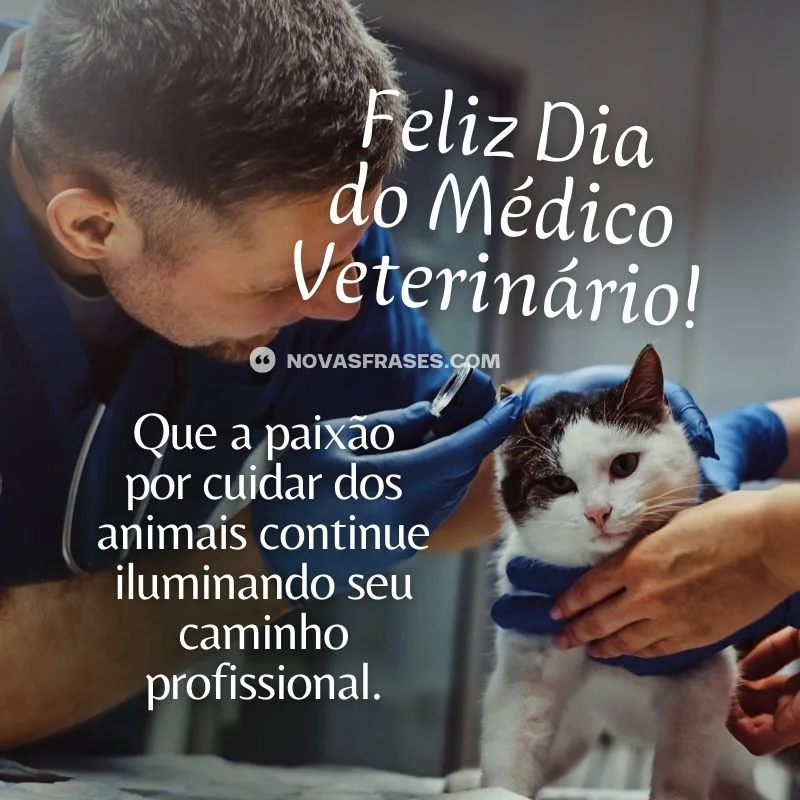 dia do médico veterinário