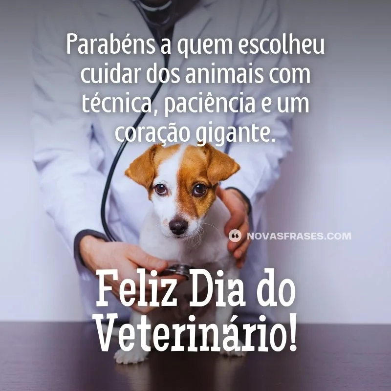 dia do veterinário frases