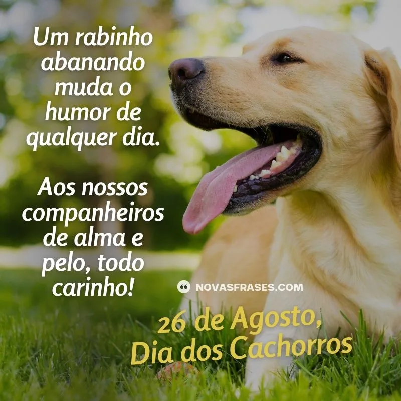 dia dos cachorros