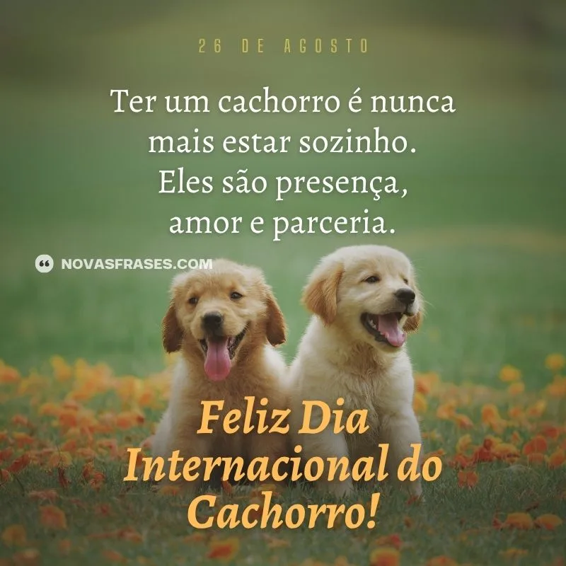 dia internacional do cachorro