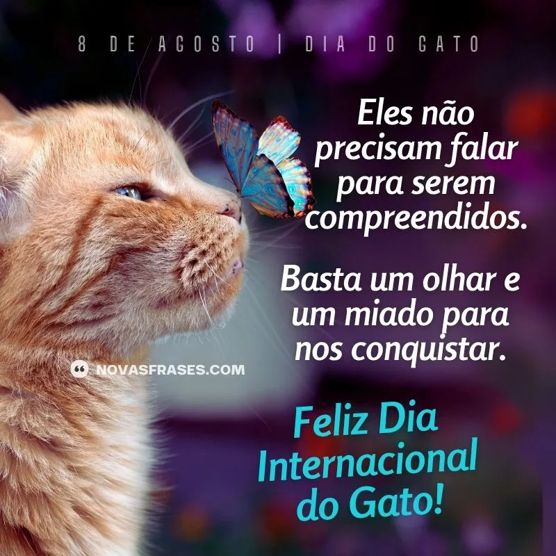 dia internacional do gato