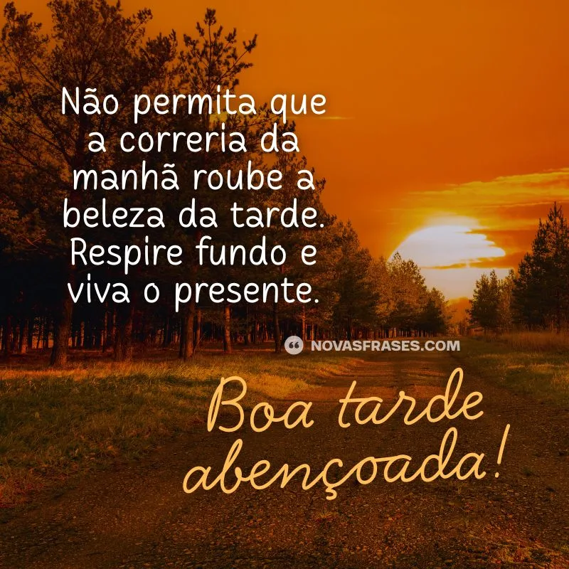 boa tarde abençoada por deus​