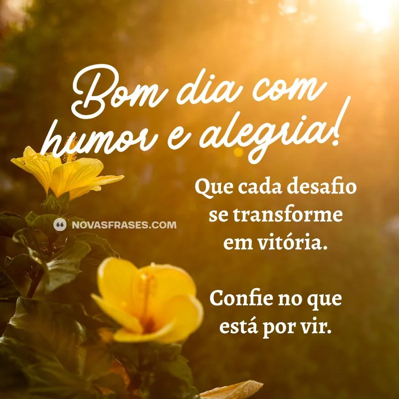 bom dia com humor