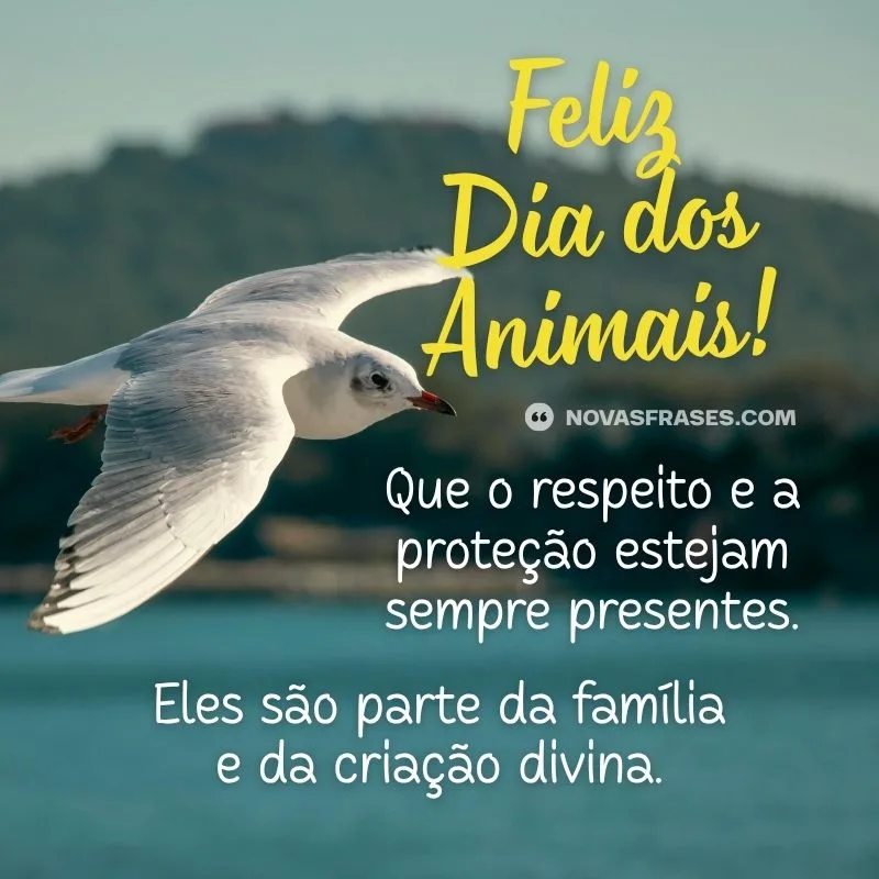 dia dos animais