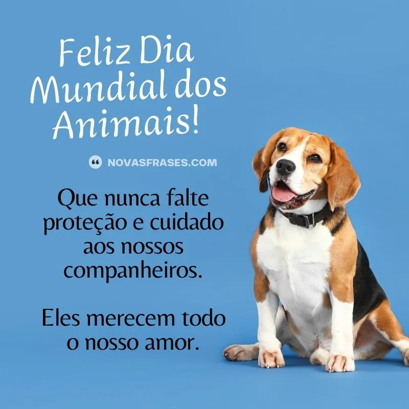 dia mundial dos animais
