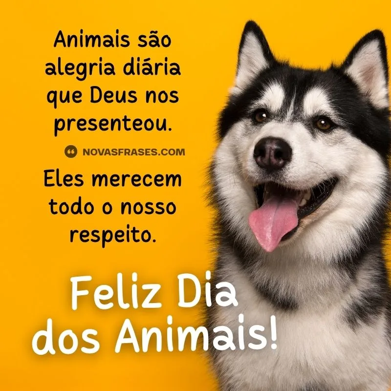 feliz dia dos animais