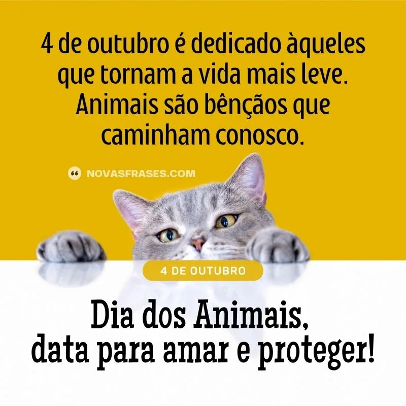 frase dia dos animais