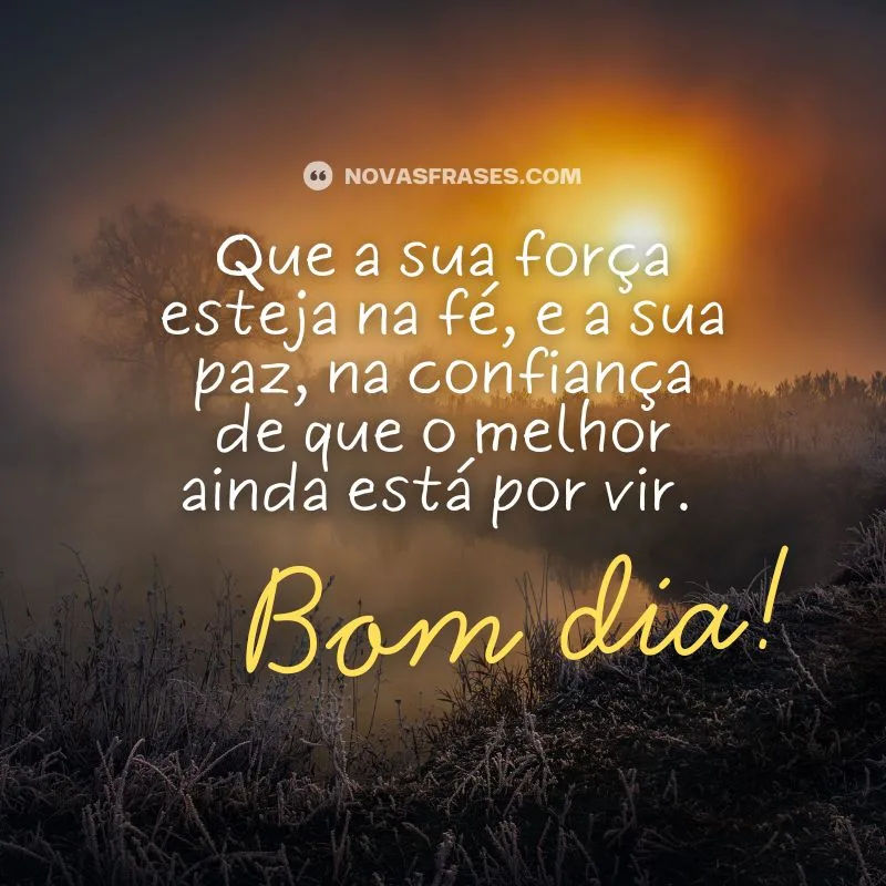 frase do dia