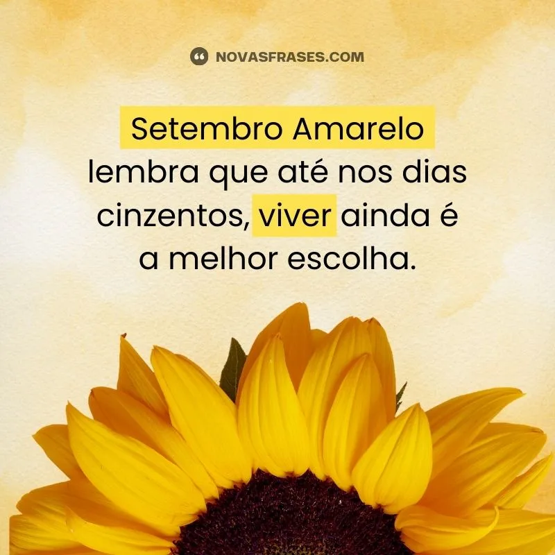 frases setembro amarelo
