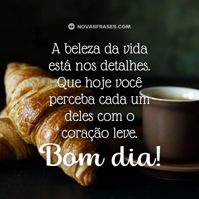 msg bom dia