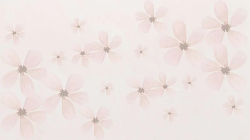 30 mensagens de aniversário para Pastora com imagens