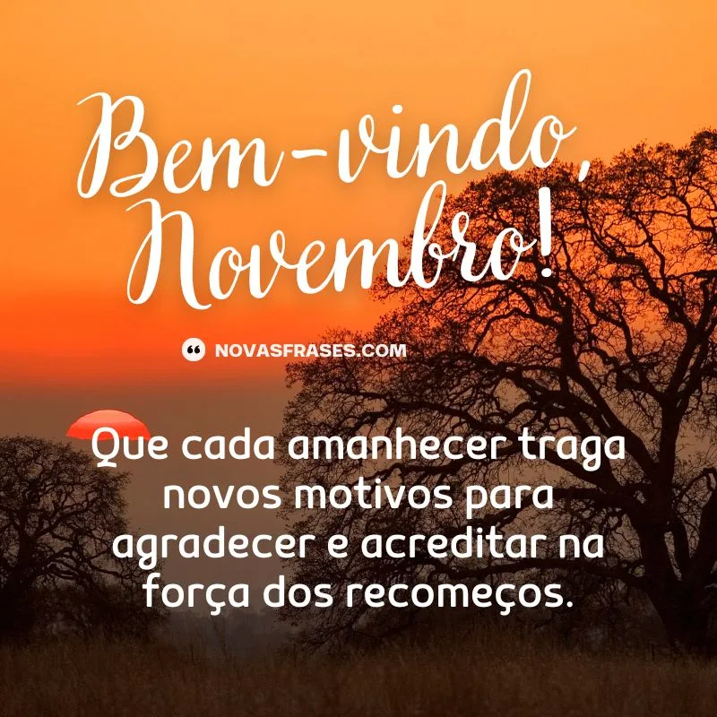 bem-vindo novembro