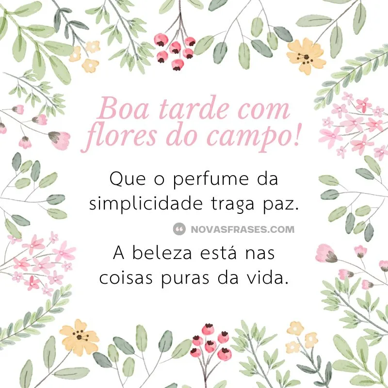 boa tarde com flores do campo