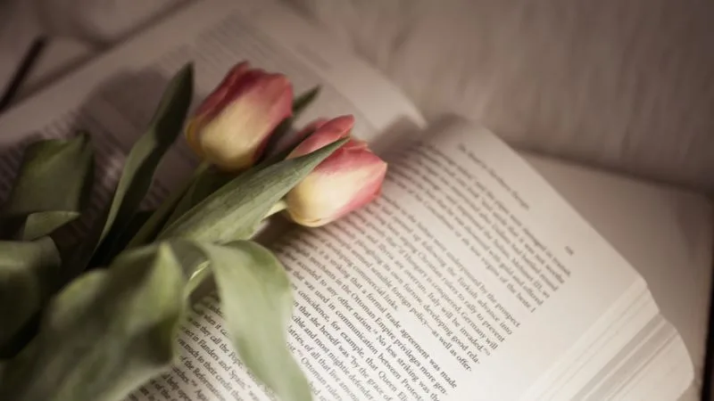 75 mensagens para desejar uma boa tarde