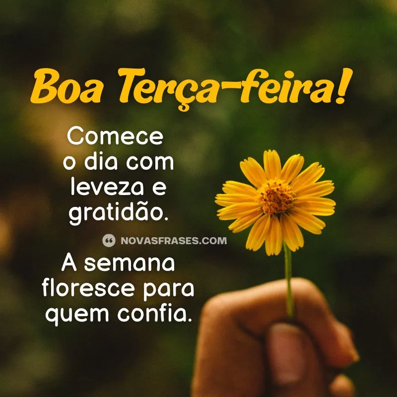 boa terça-feira