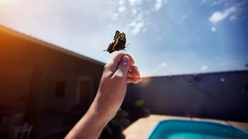 Bom dia, Sábado com 50 mensagens e imagens