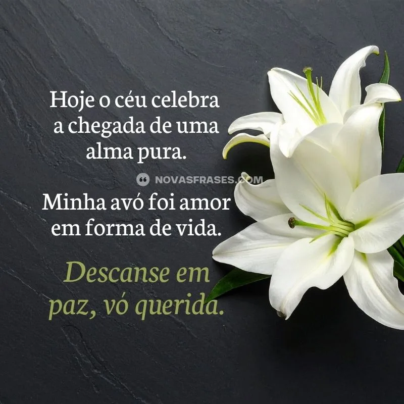 descanse em paz minha avó
