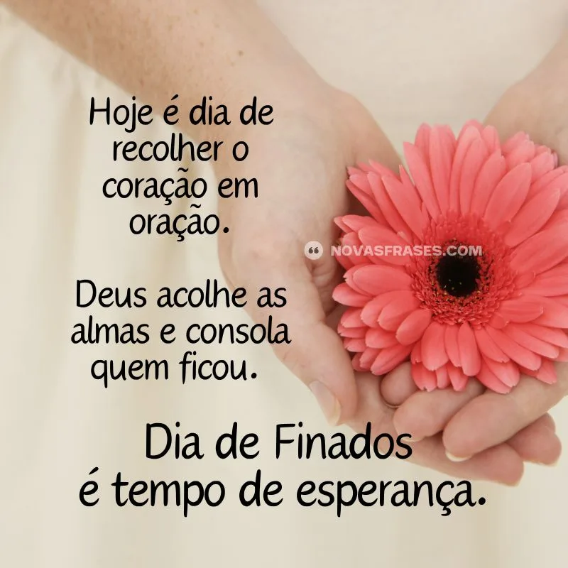 dia de finados frases