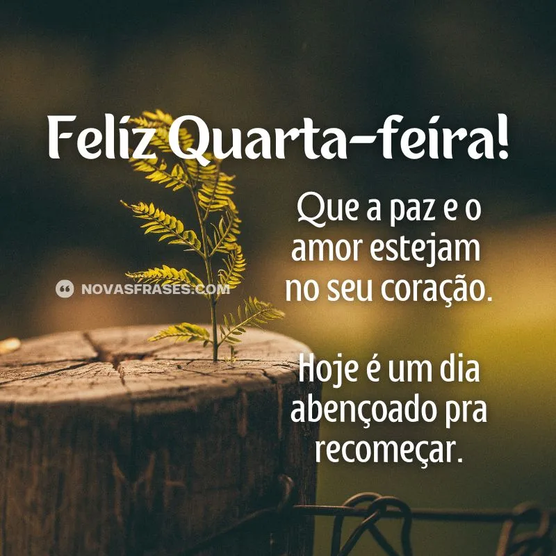 feliz quarta-feira