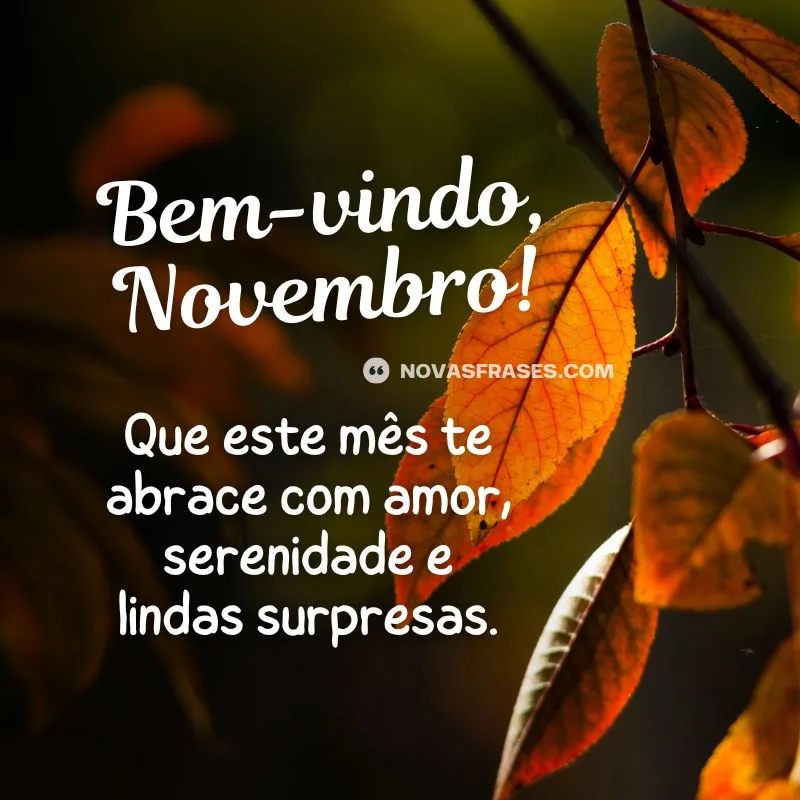 frase bem-vindo novembro