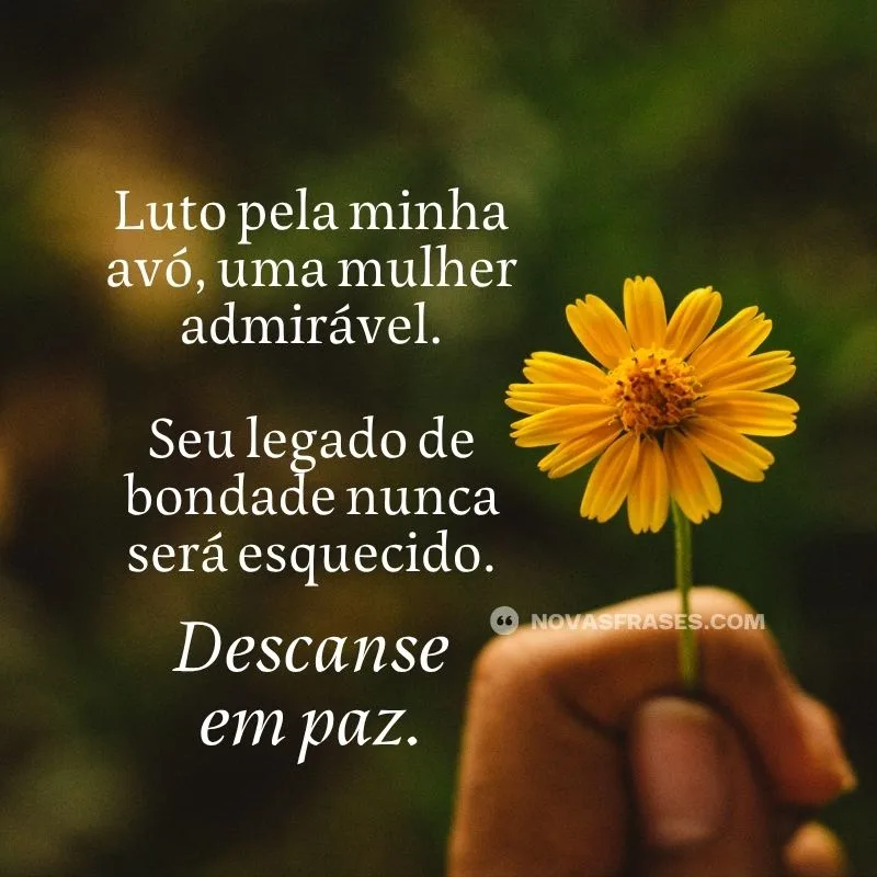 imagem luto pela minha avó