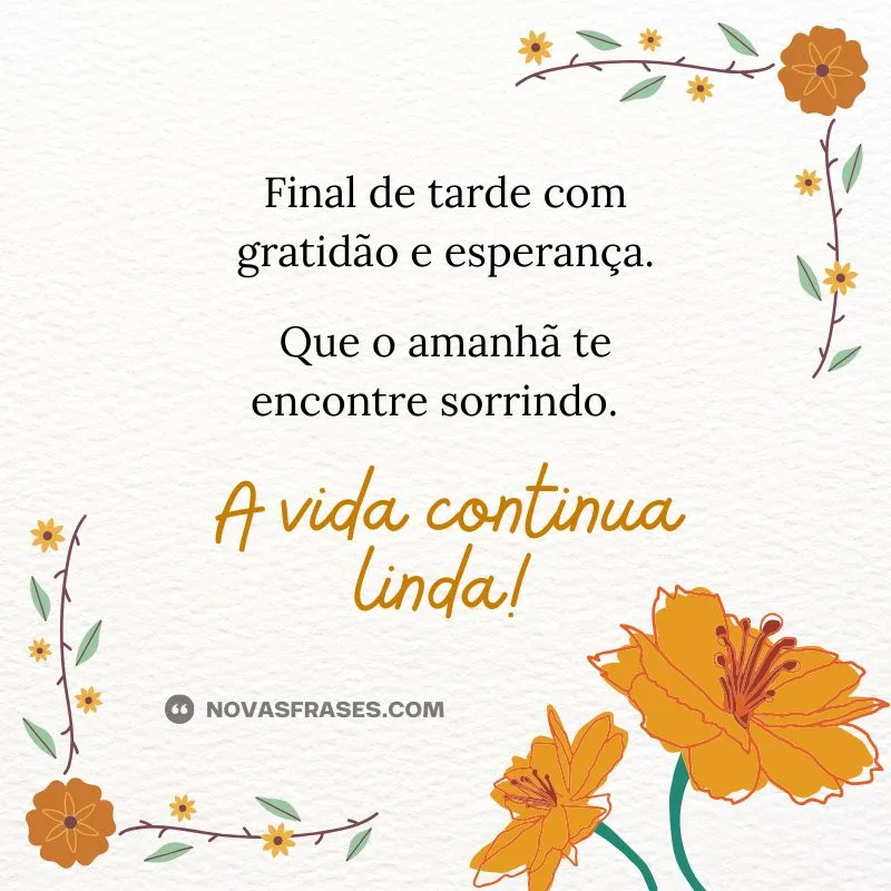 imagens de bom final de tarde