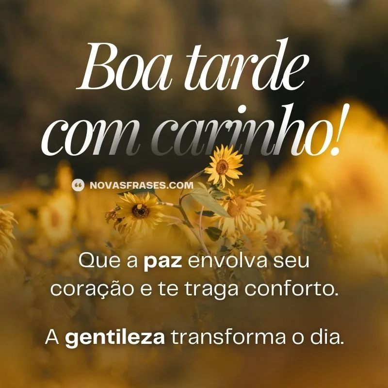 mensagem com carinho de boa tarde