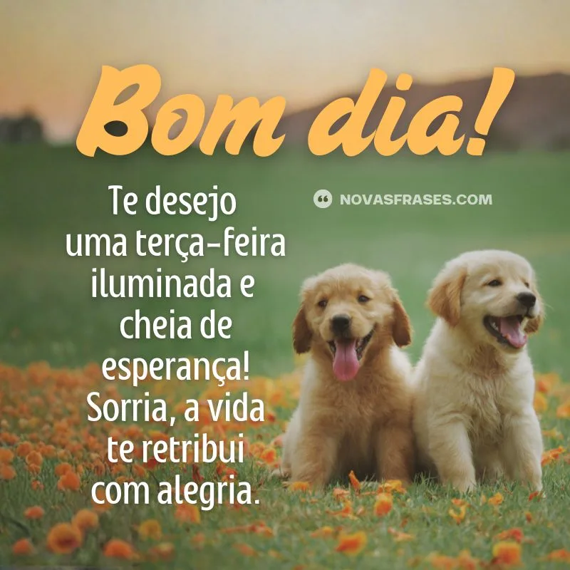 mensagem de bom dia terça-feira